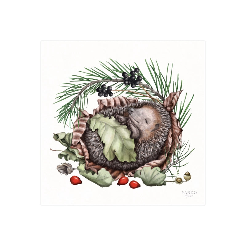Handgemalter Kunstdruck Schlafender Igel auf Hahnemühle Fine-Art-Papier, 20×20 cm