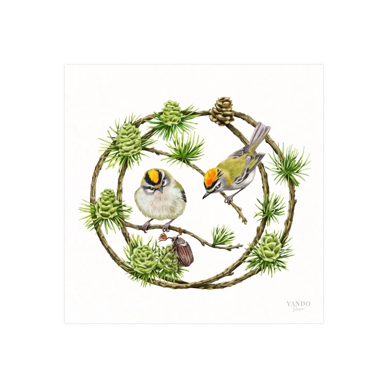 Handgemalter Kunstdruck Sommergoldhähnchen und Lärche auf Hahnemühle Fine-Art-Papier, 20×20 cm