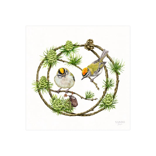 Handgemalter Kunstdruck Sommergoldhähnchen und Lärche auf Hahnemühle Fine-Art-Papier, 20×20 cm