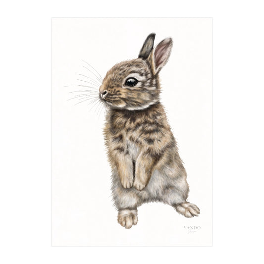 Kaninchen I - Kunstdruck