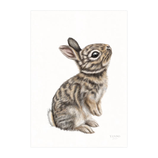 Kaninchen II - Kunstdruck