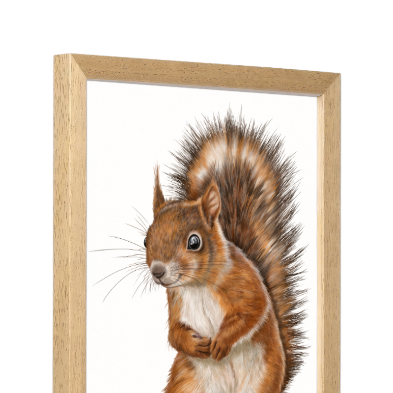 Kunstdruck Eichhörnchen mit Holzrahmen – Naturholz Dunkel, Schrägansicht