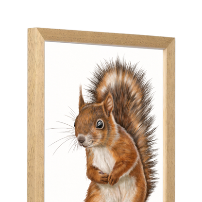 Kunstdruck Eichhörnchen mit Holzrahmen – Naturholz Dunkel, Schrägansicht