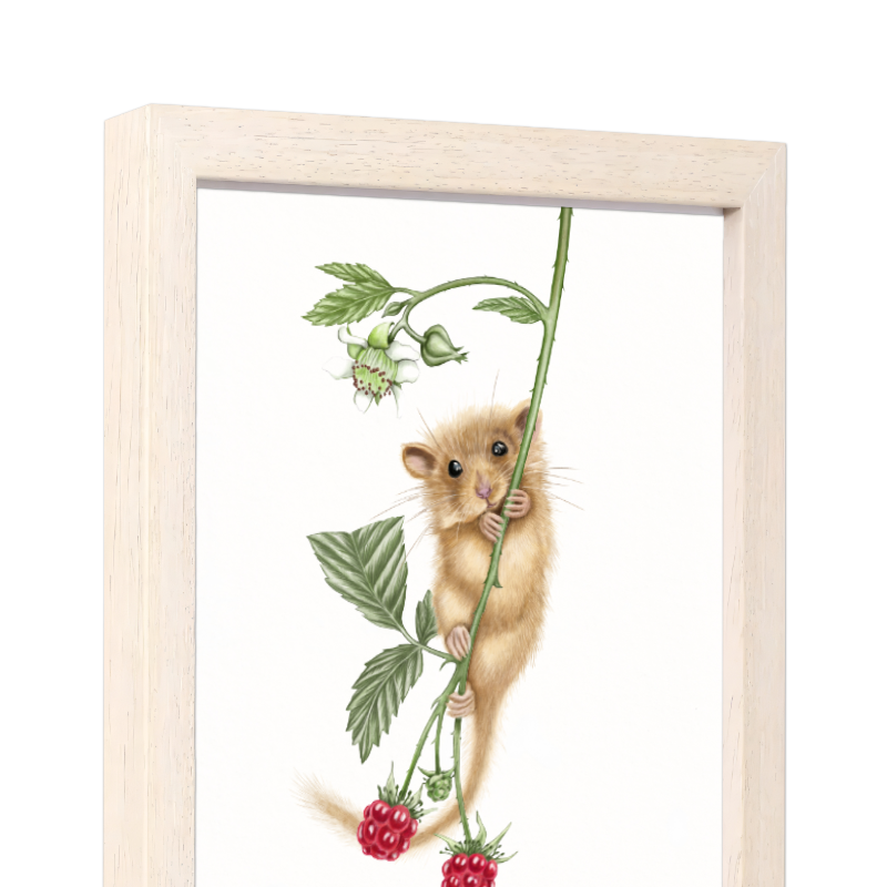 Kunstdruck Haselmaus und Himbeere mit Holzrahmen – Naturholz Hell, Schrägansicht