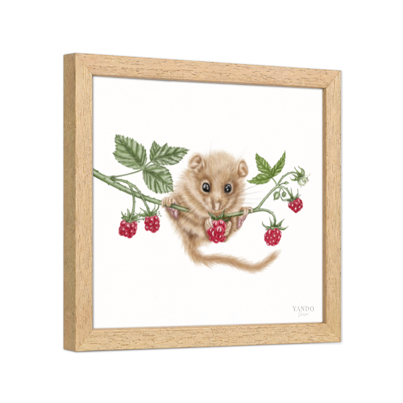 Kunstdruck Haselmaus und Himbeere II mit Holzrahmen – Naturholz Dunkel, Schrägansicht