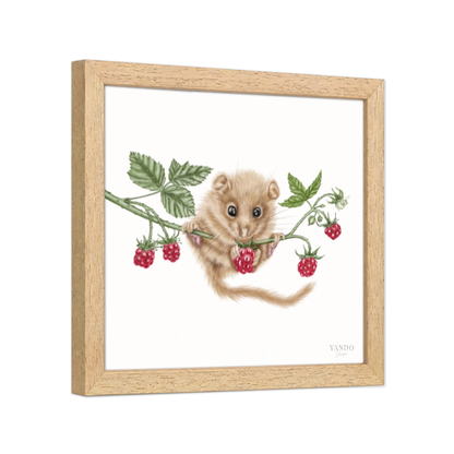 Kunstdruck Haselmaus und Himbeere II mit Holzrahmen – Naturholz Dunkel, Schrägansicht