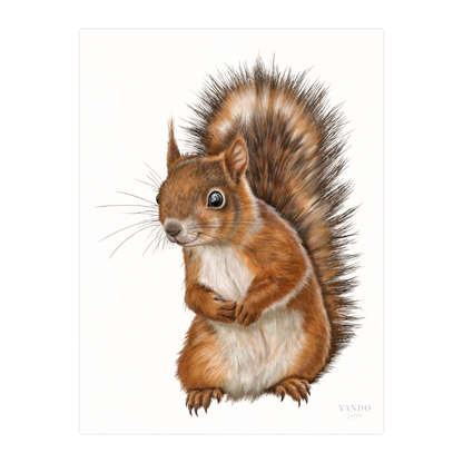 Kunstdruck Eichhörnchen – Fine Art Print 18×24 cm