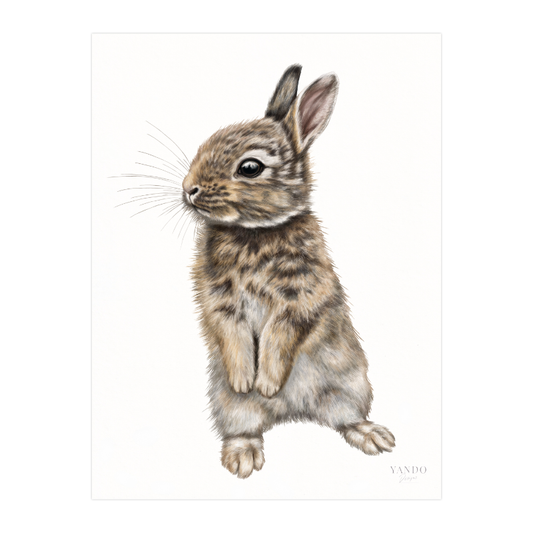 Kaninchen Kunstdruck mit persönlichem Namenszug (Platzhalterbild)