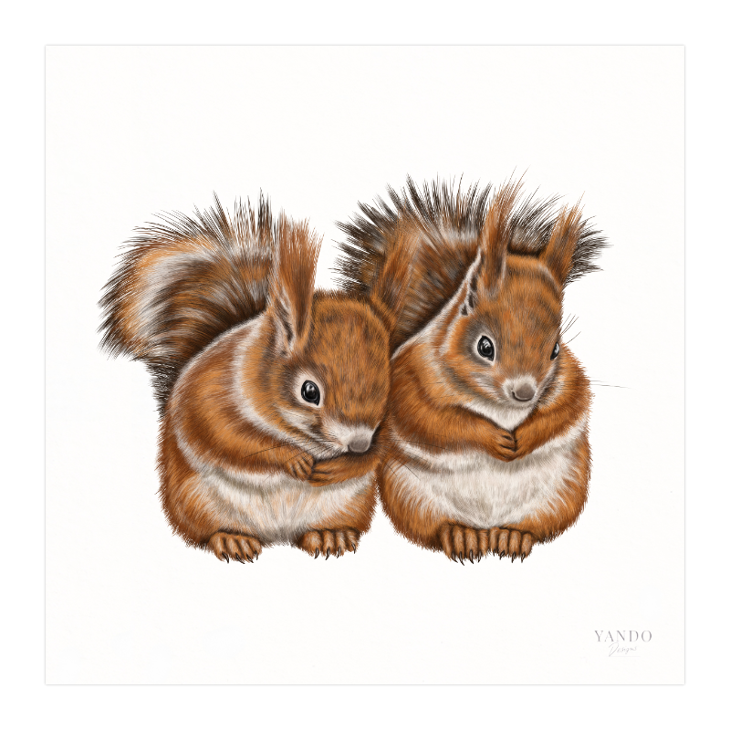 Kunstdruck Eichhörnchen Paar – Fine Art Print 20×20 cm