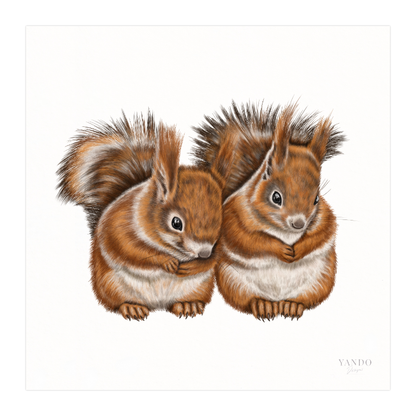 Kunstdruck Eichhörnchen Paar – Fine Art Print 20×20 cm
