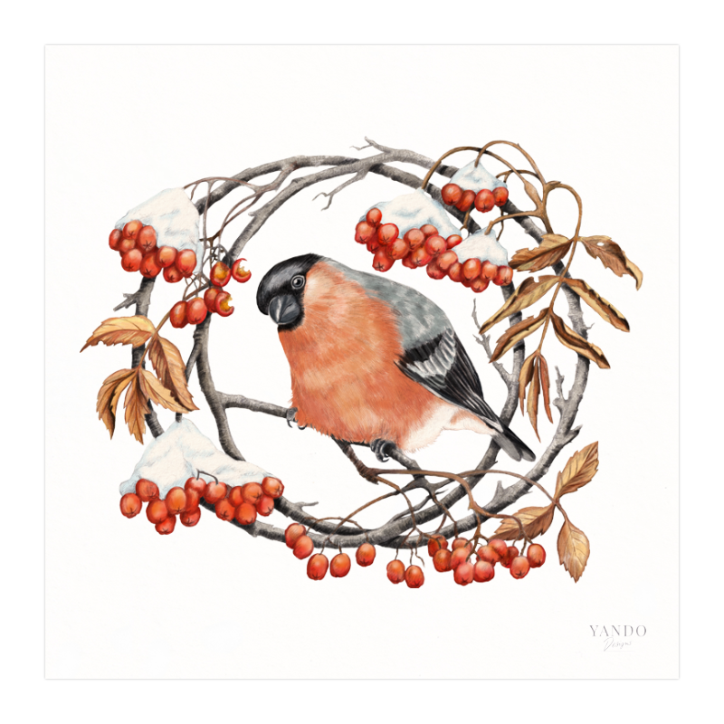 Kunstdruck Gimpel und Eberesche – Fine Art auf Hahnemühle-Papier, 20×20 cm