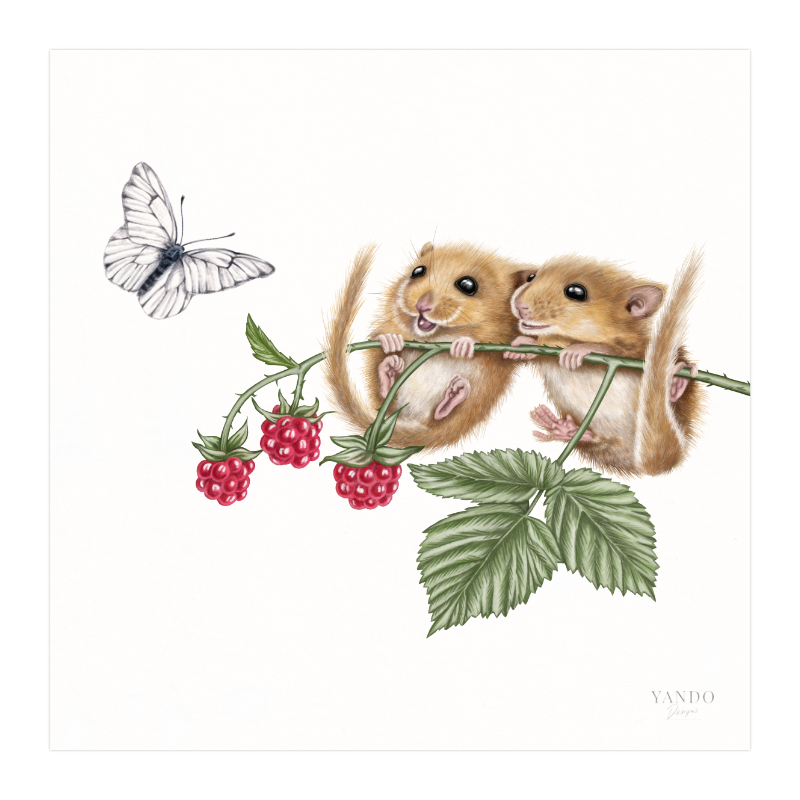 Kunstdruck Haselmäuse und Himbeere – Fine Art Print 20×20 cm