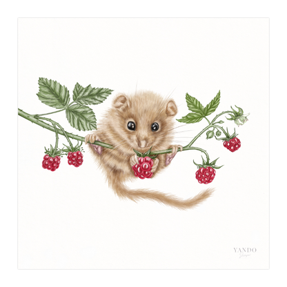 Kunstdruck Haselmaus und Himbeere II – Fine Art Print 20×20 cm