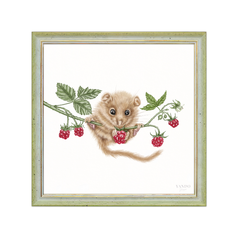 Kunstdruck Haselmaus und Himbeere II mit Holzrahmen – Grün-Gold 20×20