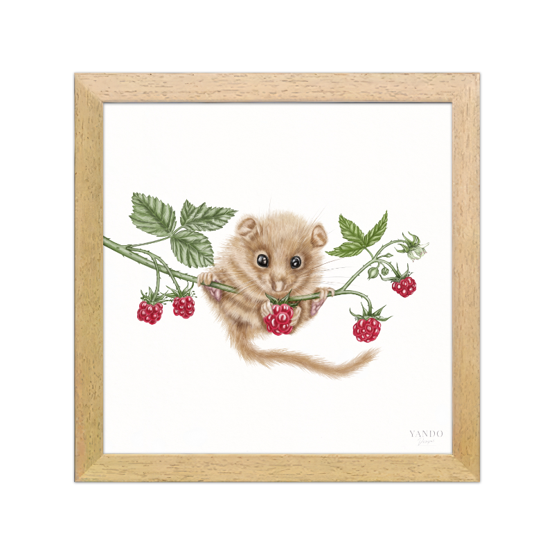 Kunstdruck Haselmaus und Himbeere II mit Holzrahmen – Naturholz Dunkel