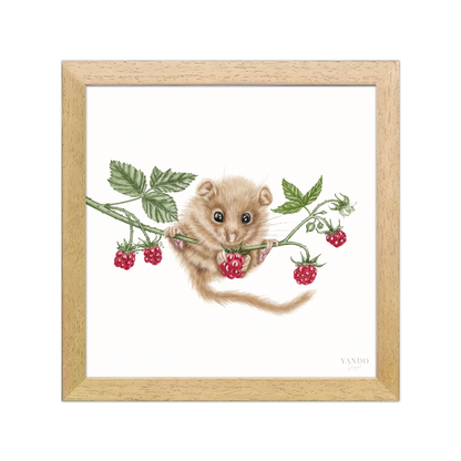 Kunstdruck Haselmaus und Himbeere II mit Holzrahmen – Naturholz Dunkel