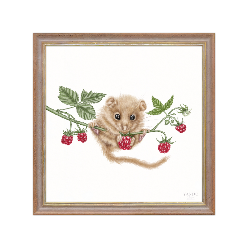 Kunstdruck Haselmaus und Himbeere II mit Holzrahmen – Nussbraun-Gold
