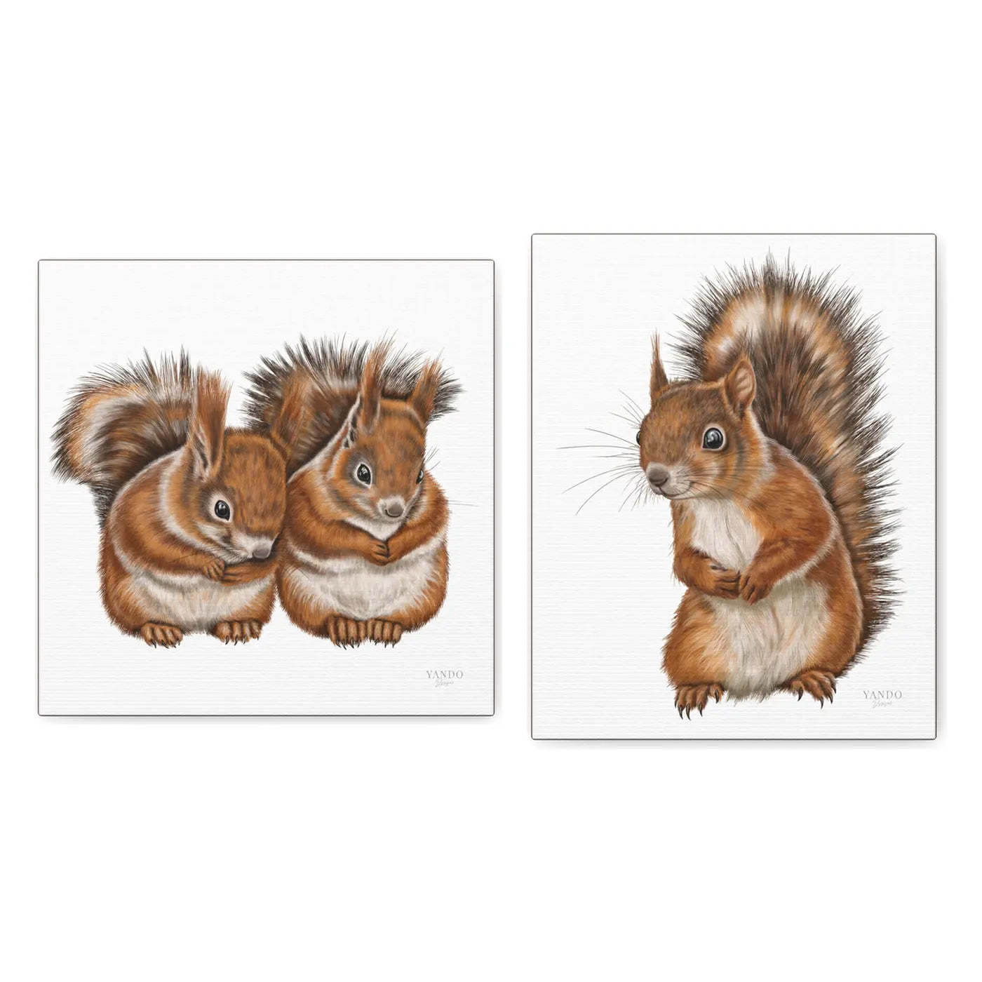 Eichhörnchen Leinwand-Sammlung – zwei Leinwandbilder auf Holzkeilrahmen