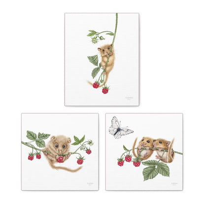 Haselmäuse und Himbeeren Leinwand-Sammlung – drei Leinwandbilder auf Holzkeilrahmen