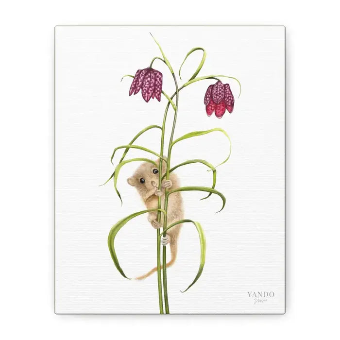 Leinwanddruck Haselmaus und Schachbrettblume – handgezeichnetes Naturmotiv auf Leinwand