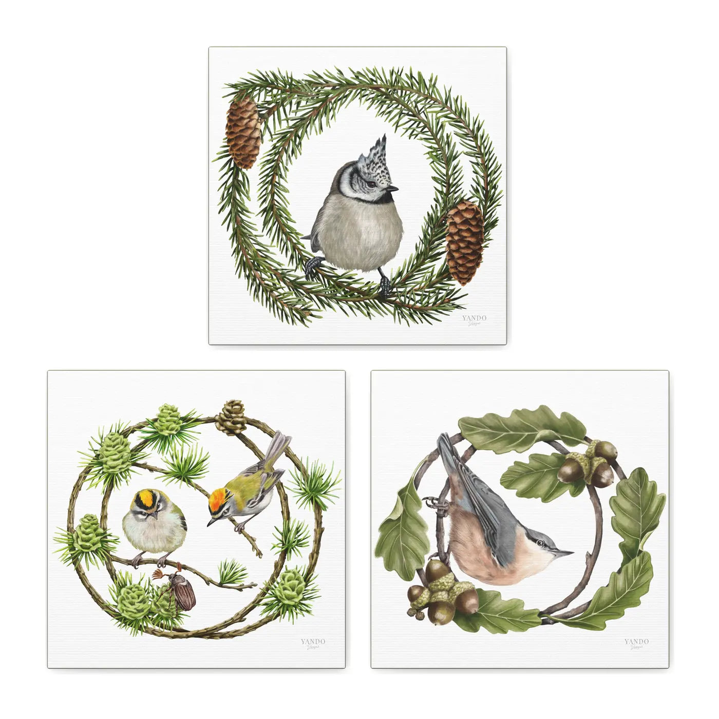 Heimische Waldvögel – Leinwand-Sammlung, Haubenmeise, Sommergoldhähnchen und Kleiber