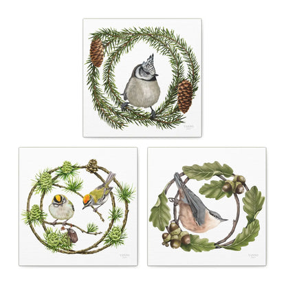 Heimische Waldvögel – Leinwand-Sammlung, Haubenmeise, Sommergoldhähnchen und Kleiber