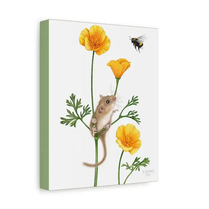 Leinwanddruck Haselmaus und Goldmohn – Seitenansicht, auf Holzkeilrahmen gespannt