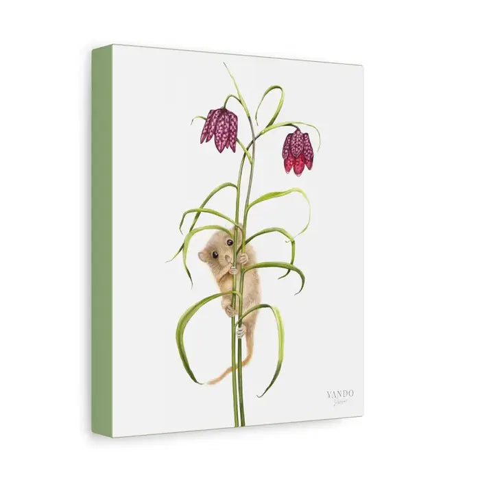Leinwanddruck Haselmaus und Schachbrettblume – Seitenansicht, auf Holzkeilrahmen gespannt