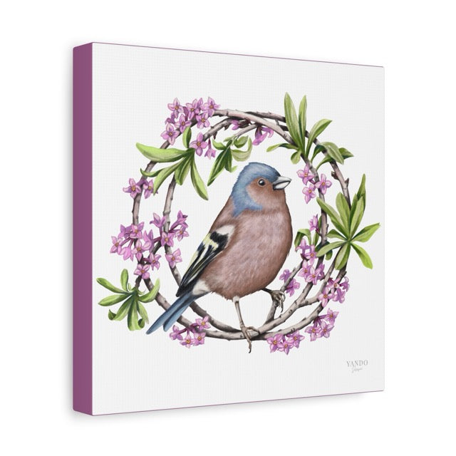 Leinwand mit detailliertem Naturmotiv eines Buchfinks auf Ast, umgeben von lila Seidelbast-Blüten auf weißem Hintergrund. - Leinwanddruck - Buchfink und Seidelbast - YANDO Designs