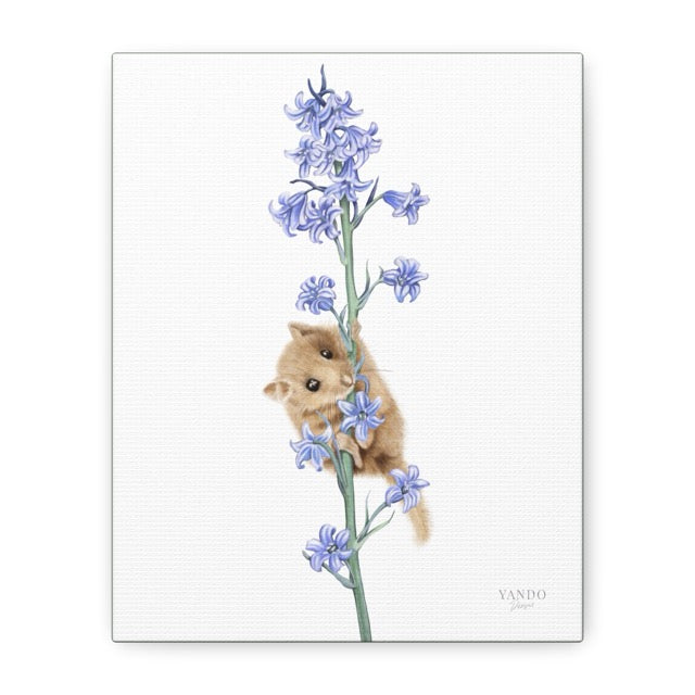 Detaillierte Leinwand mit Naturmotiv einer Haselmaus, die an einem blauen Hasenglöckchen hängt, weißer Hintergrund,. - Leinwanddruck - Haselmaus und Hasenglöckchen - YANDO Designs