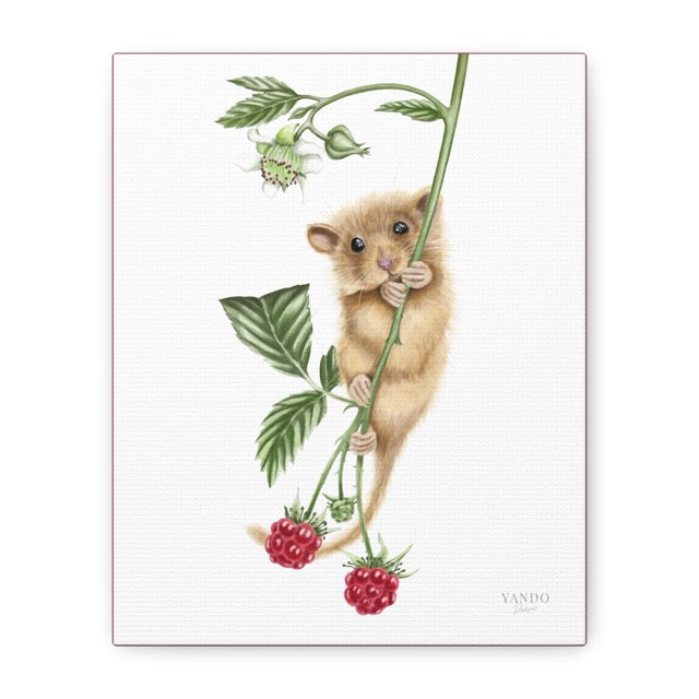 Detaillierter Leinwanddruck mit Naturmotiv zeigt eine Haselmaus, die an einem grünen Himbeerzweig mit reifen roten Beeren. - Leinwanddruck - Haselmaus und Himbeere - YANDO Designs
