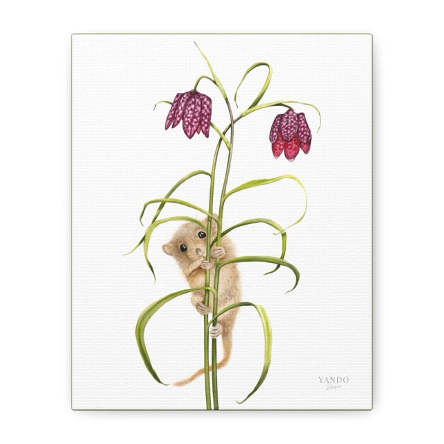 Leinwand mit detailliertem Naturmotiv einer Haselmaus, die an einem grünen Schachbrettblumenstiel klettert, weiße. - Leinwanddruck - Haselmaus und Schachbrettblume - YANDO Designs