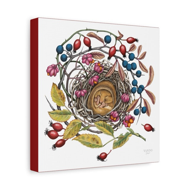 Detaillierter Leinwanddruck mit schlafender Haselmaus im Nest, umgeben von bunten Beeren und Blättern, Naturmotiv auf Canvas. - Leinwanddruck - Schlafende Haselmaus - YANDO Designs