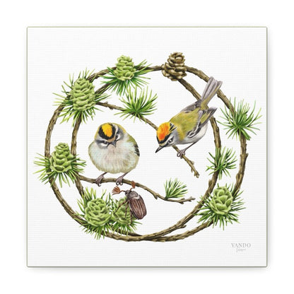 Zwei Sommergoldhähnchen auf Lärchenzweigen, grüner Zapfenkranz auf weißem Canvas. - Leinwanddruck - Sommergoldhähnchen und Lärche - YANDO Designs