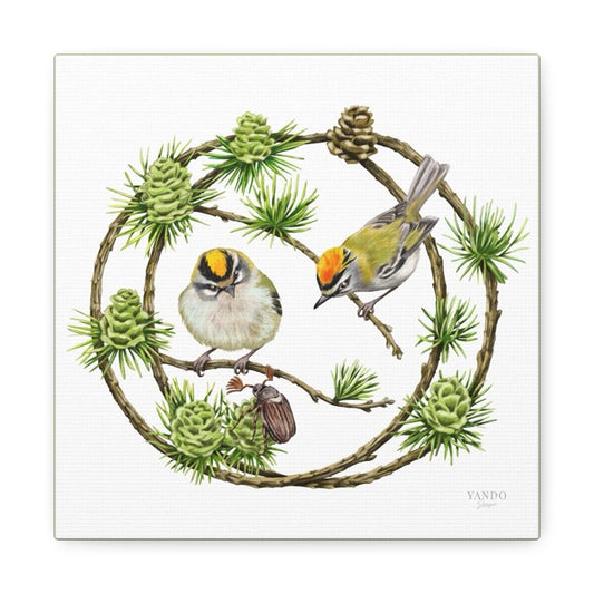 Zwei Sommergoldhähnchen auf Lärchenzweigen, grüner Zapfenkranz auf weißem Canvas. - Leinwanddruck - Sommergoldhähnchen und Lärche - YANDO Designs