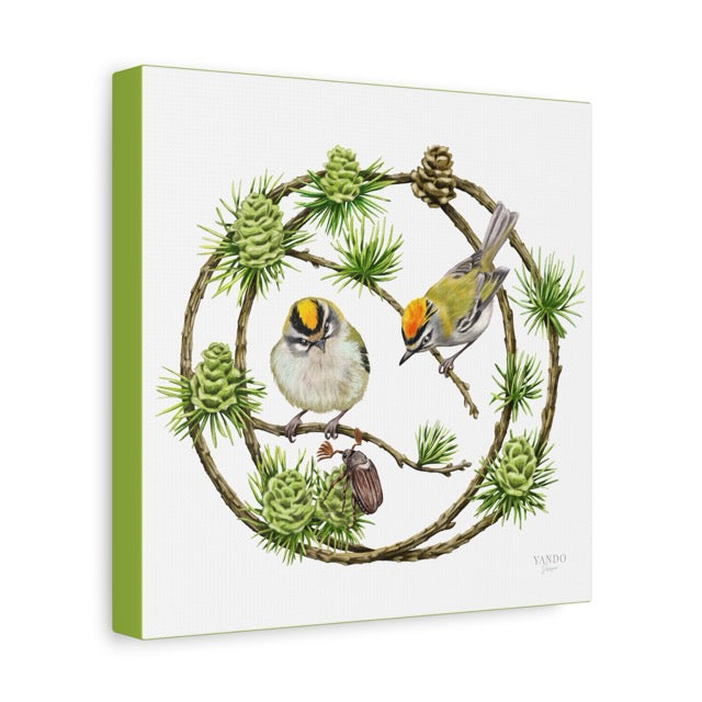 Leinwand mit detailliertem Naturmotiv von zwei Sommergoldhähnchen auf Lärchenzweigen, grüner Leinwandrand. - Leinwanddruck - Sommergoldhähnchen und Lärche - YANDO Designs