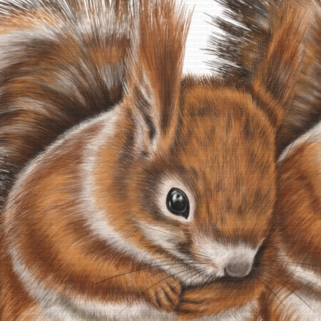 Leinwanddruck Eichhörnchen Paar – Detailansicht Leinwandqualität