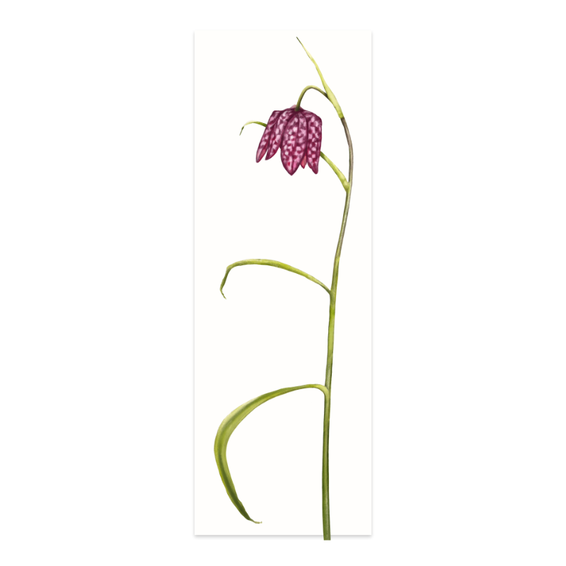 Lesezeichen Haselmaus und Schachbrettblume