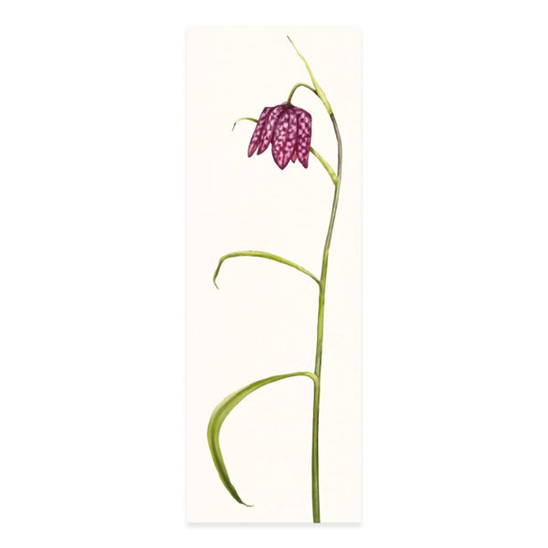 Lesezeichen Schachbrettblume — handgemalte Naturmotiv-Illustration auf Feinkarton