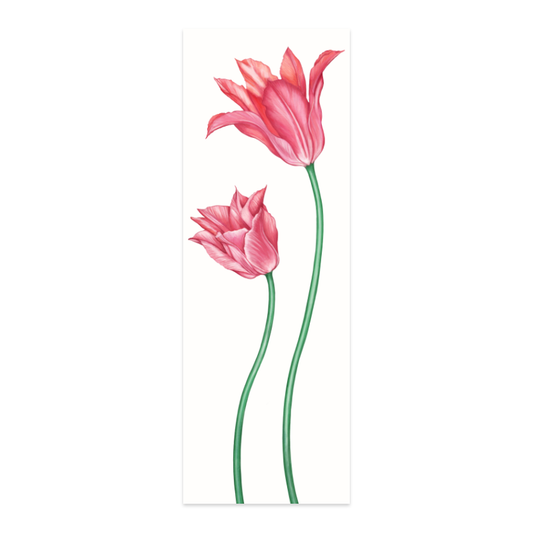 Lesezeichen Zaunkönig und Tulpe – handgezeichnet auf Hahnemühle-Papier, 5 × 15 cm