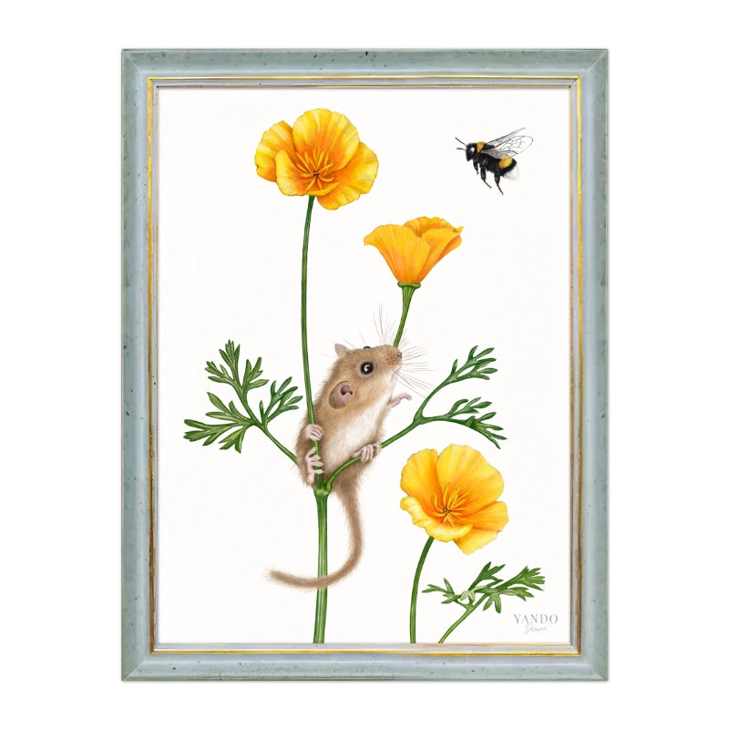 Haselmaus und Goldmohn im blauen Holzrahmen — gerahmt und aufhängbereit