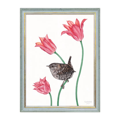 Zaunkönig und Tulpe im blauen Holzrahmen — gerahmt und aufhängbereit