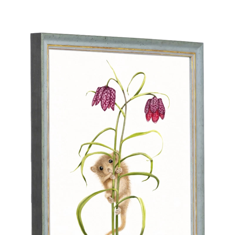 Seitliche Ansicht des Holzrahmens — Haselmaus und Schachbrettblume