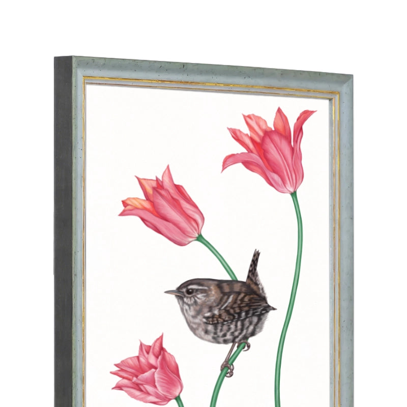 Seitliche Ansicht des Holzrahmens — Zaunkönig und Tulpe