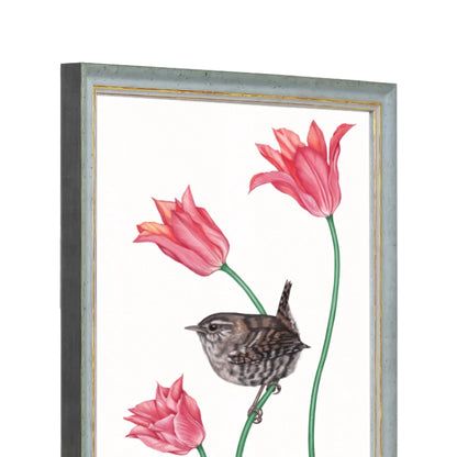 Seitliche Ansicht des Holzrahmens — Zaunkönig und Tulpe