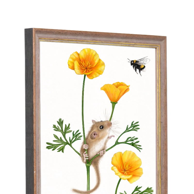 Seitliche Ansicht des Holzrahmens — Haselmaus und Goldmohn