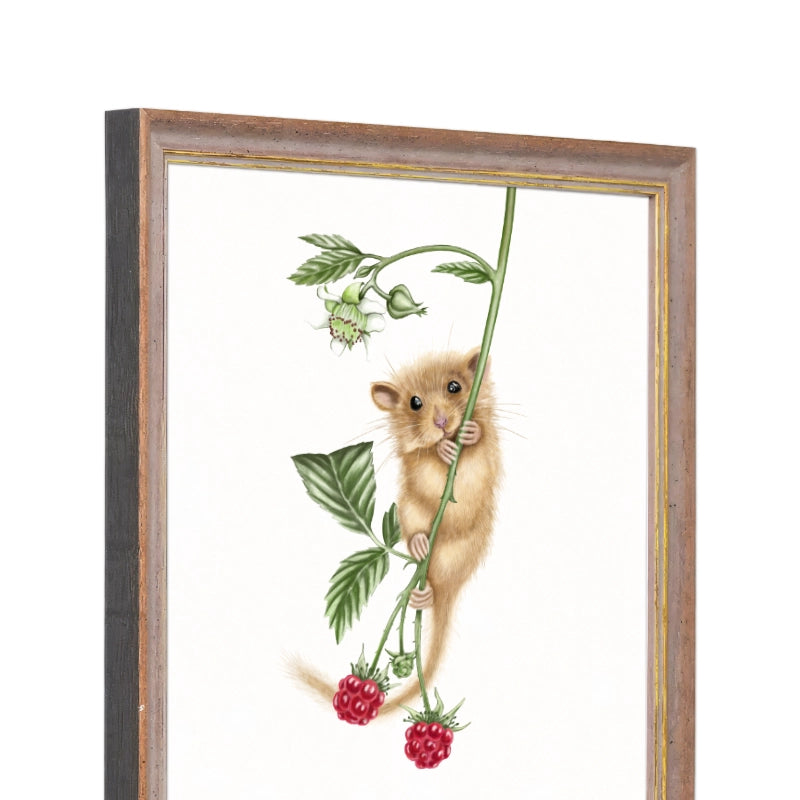 Seitliche Ansicht des Holzrahmens — Haselmaus und Himbeere