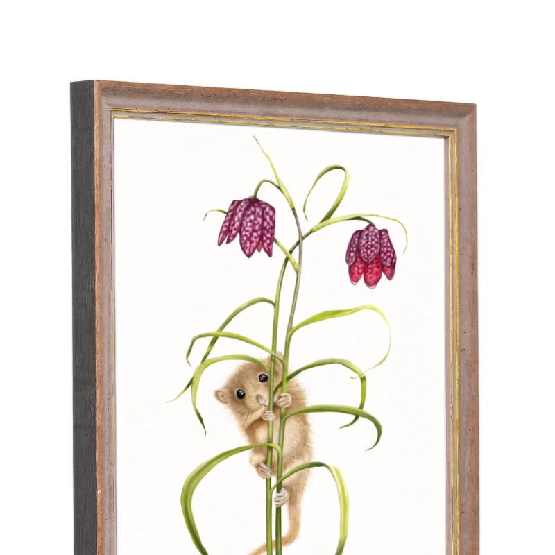 Seitliche Ansicht des Holzrahmens — Haselmaus und Schachbrettblume