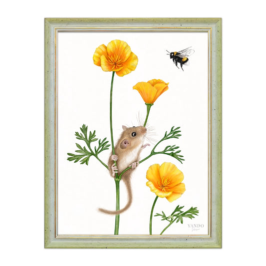 Gerahmter Kunstdruck – Haselmaus und Goldmohn, Naturmotiv im Holzrahmen