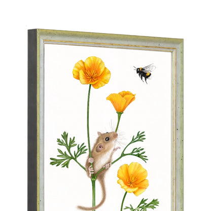 Seitliche Ansicht des Holzrahmens — Haselmaus und Goldmohn